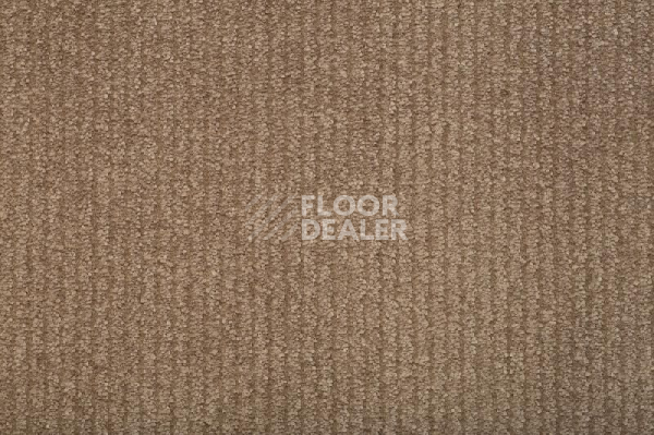 Ковролин Balta ITC Eliot 63 фото 1 | FLOORDEALER
